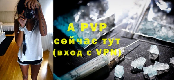 Альфа ПВП Бугульма